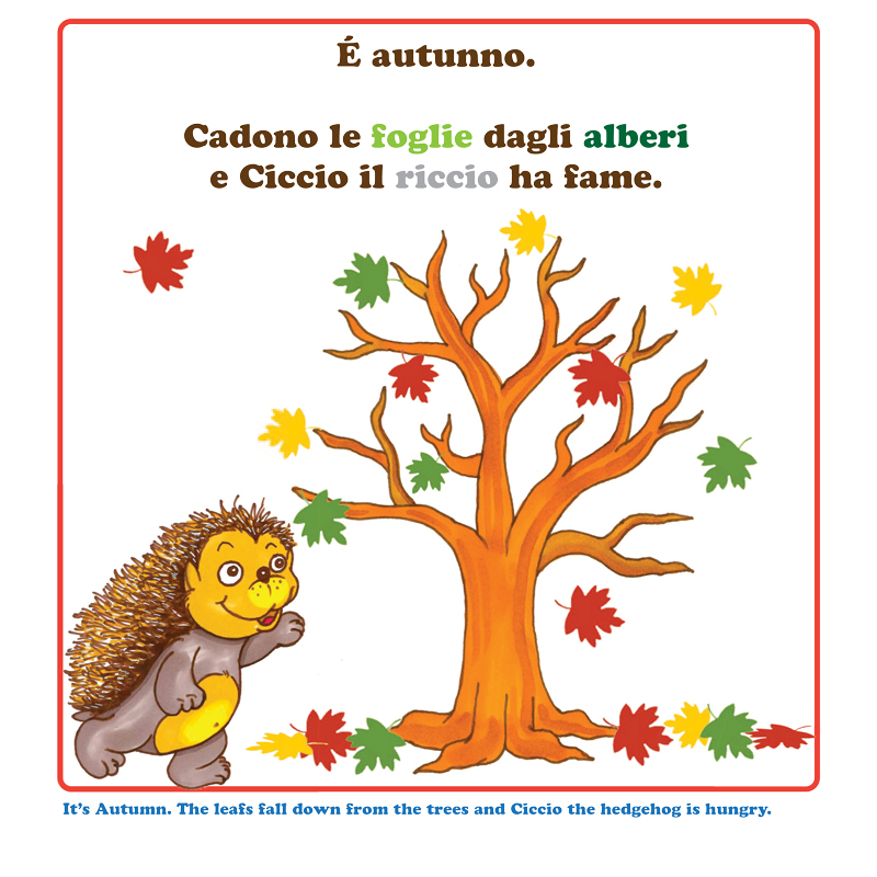 Copertina-Ciccio-web2